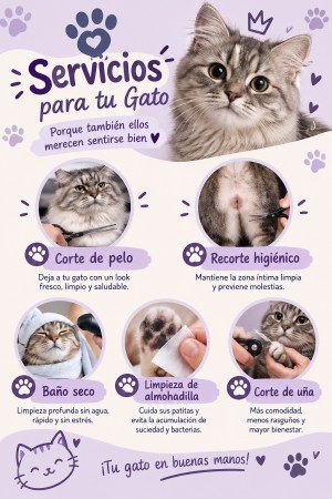 Imagen 10 de servicio