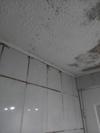 Imagen 13 de servicio