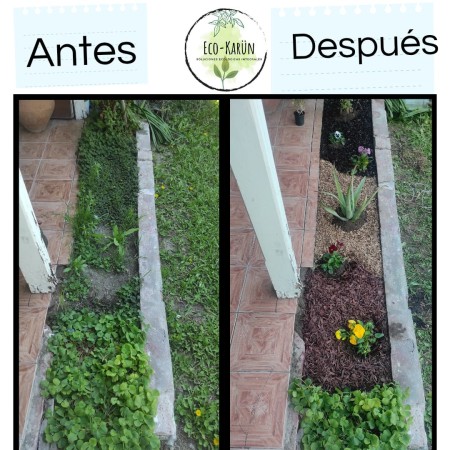 Imagen 5 de servicio