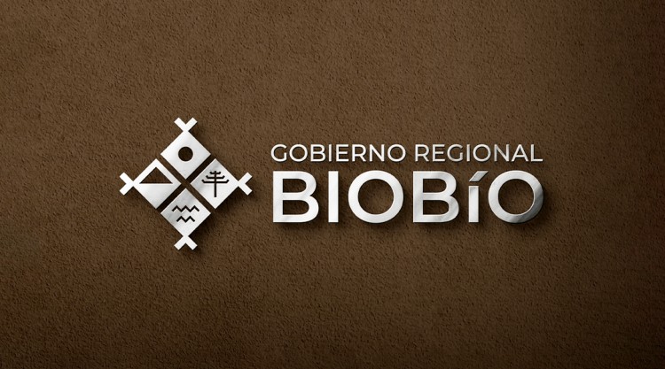 Imagen 5 de servicio