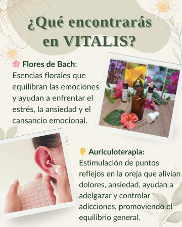 Imagen 0