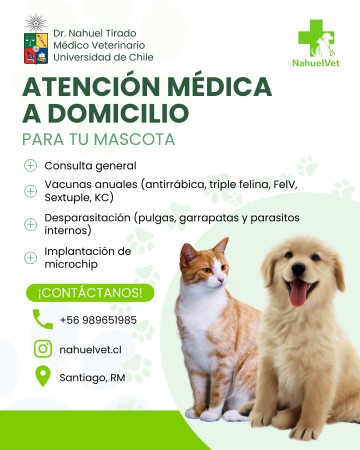 Imagen 0