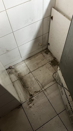 Imagen 18 de servicio