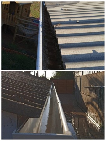 Imagen 2