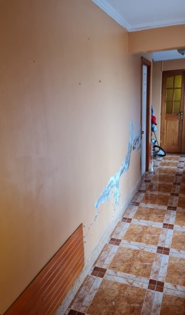 Imagen 10 de servicio