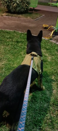 Imagen 5 de servicio