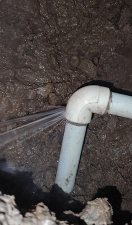 Imagen 4 de servicio