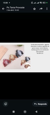 Imagen 6 de servicio