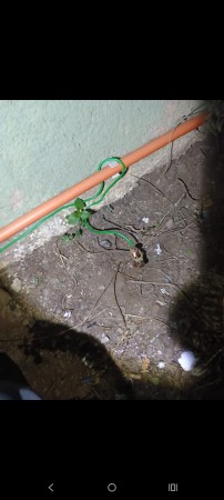 Imagen 6 de servicio