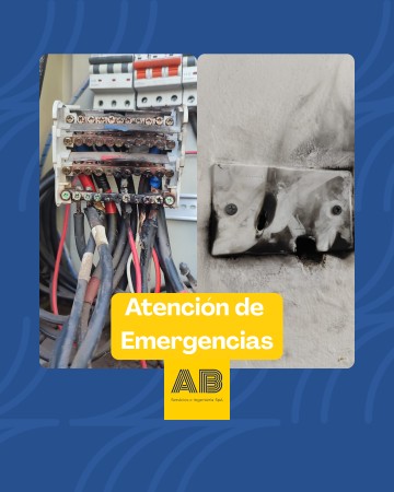 Imagen 8 de servicio
