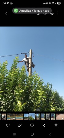 Imagen 8 de servicio