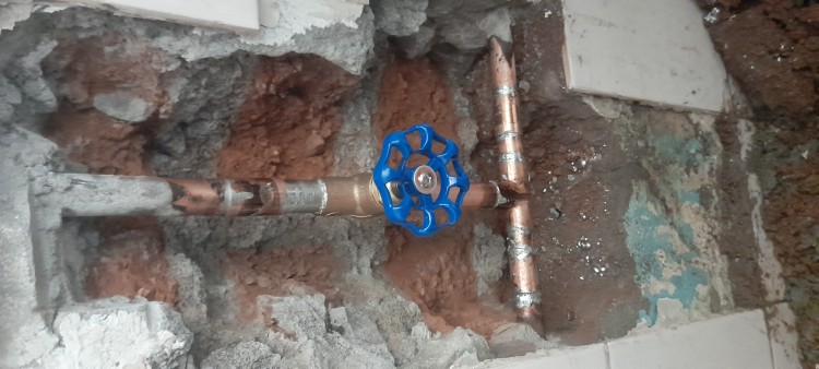 Imagen 16 de servicio