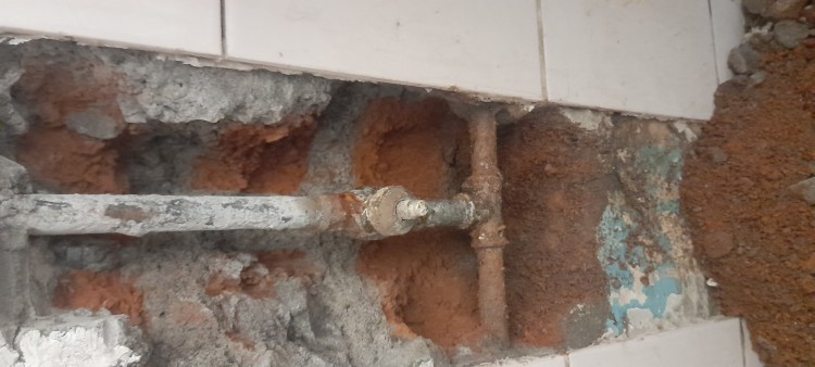Imagen 17 de servicio