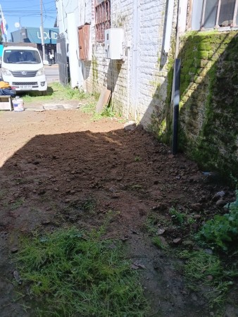 Imagen 19 de servicio