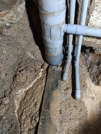 Imagen 53 de servicio