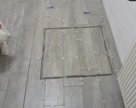Imagen 5 de servicio