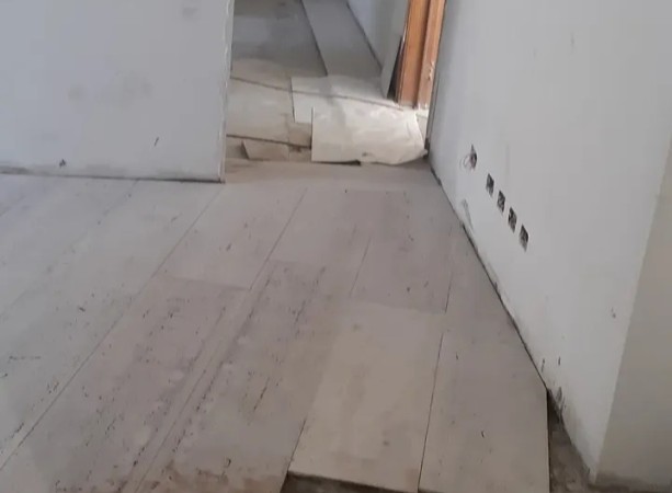Imagen 11 de servicio