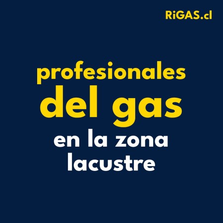 Imagen 7 de servicio