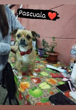 Imagen 23 de servicio