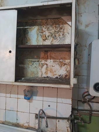 Imagen 12 de servicio