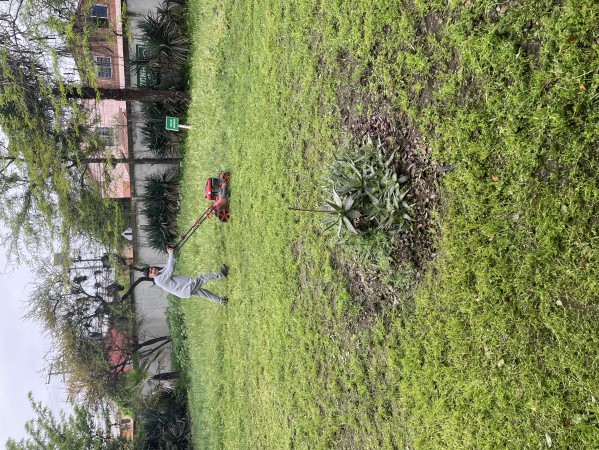 Imagen 2