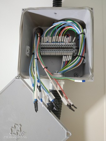 Imagen 10 de servicio