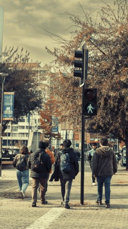Imagen 12 de servicio
