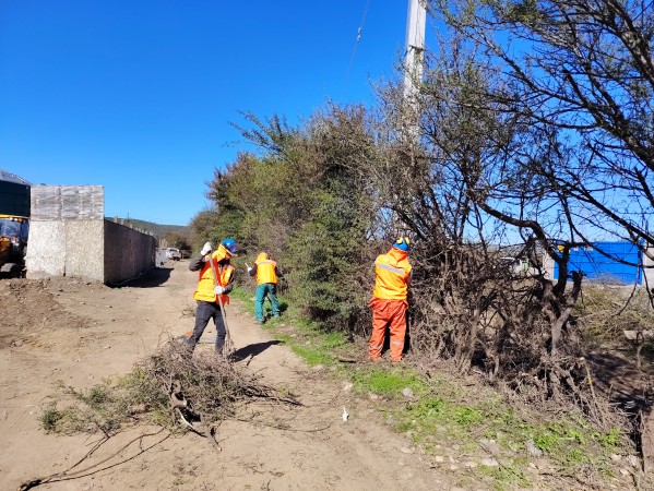 Imagen 15 de servicio