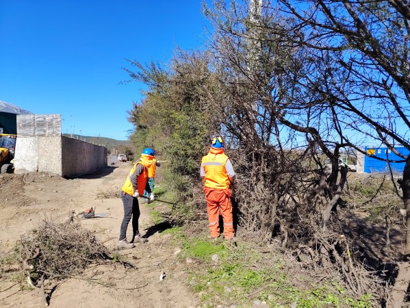 Imagen 14 de servicio