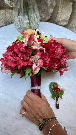 Imagen 17 de servicio
