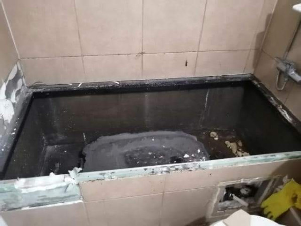Imagen 0