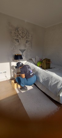 Imagen 35 de servicio