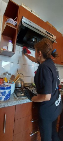 Imagen 43 de servicio