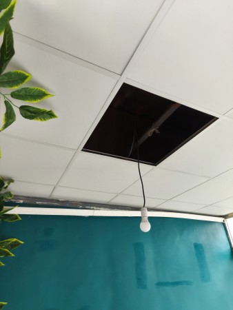 Imagen 17 de servicio
