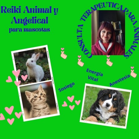 Imagen 2