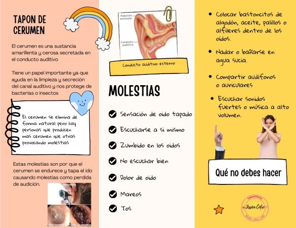 Imagen 0