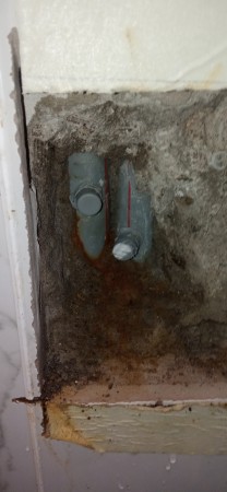 Imagen 6 de servicio