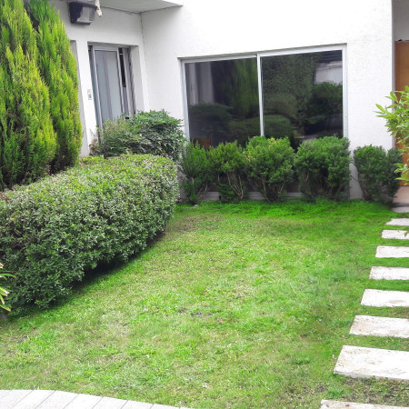 Imagen 0