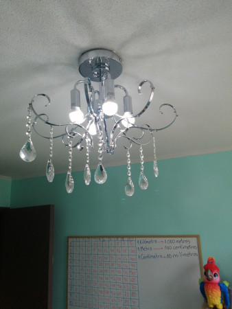 Imagen 5 de servicio