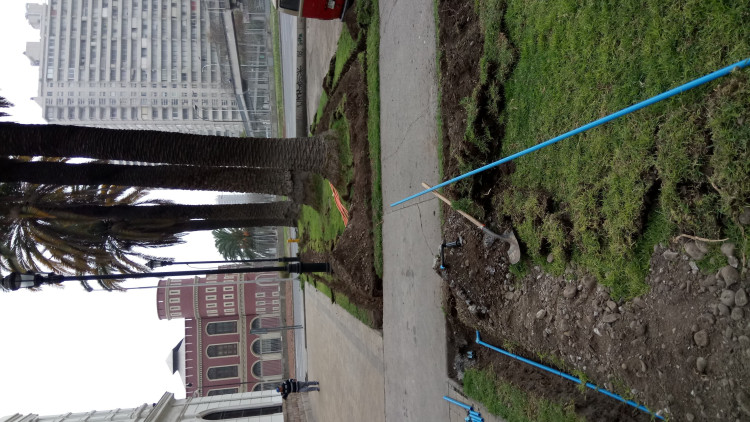 Imagen 4 de servicio
