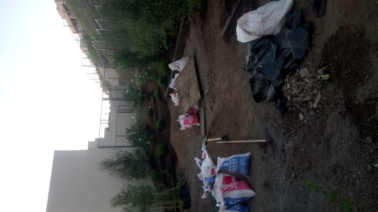 Imagen 15 de servicio
