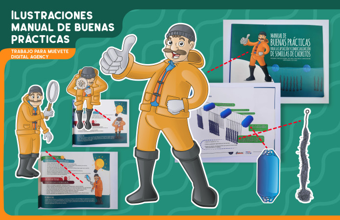 Imagen 9 de servicio