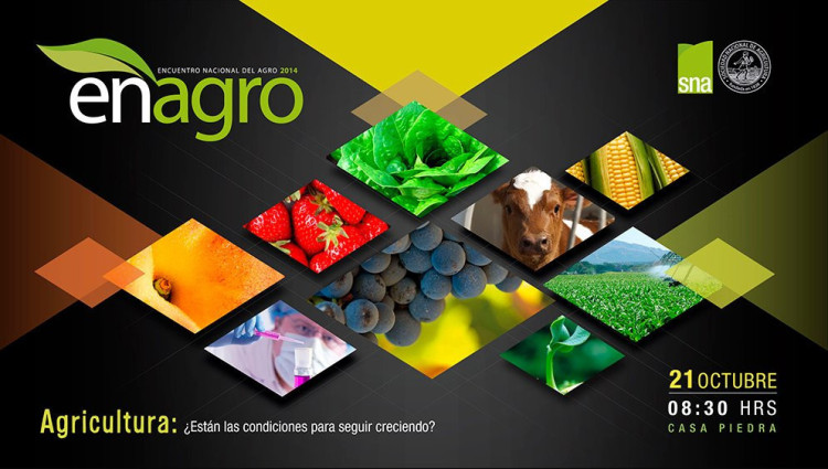 Imagen 4 de servicio