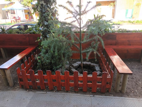 Imagen 2