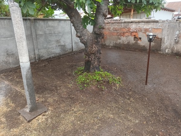 Imagen 17 de servicio