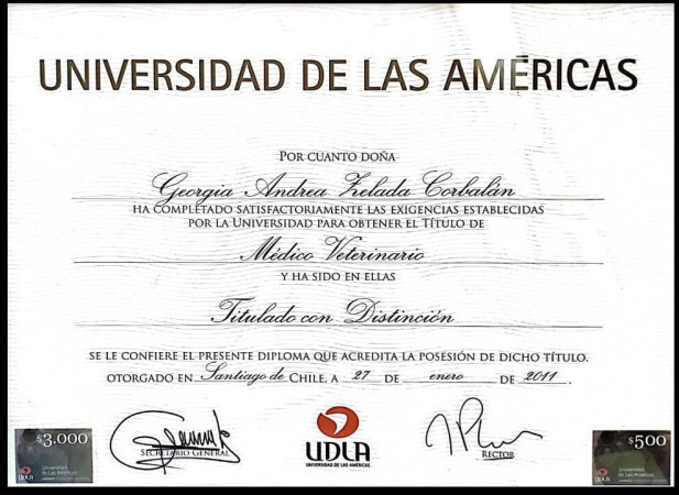 Imagen 0