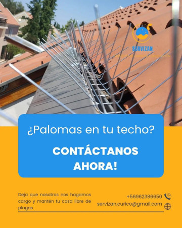Imagen 0