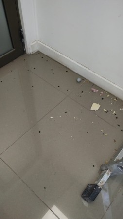 Imagen 8 de servicio