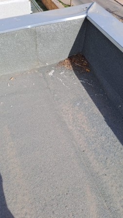 Imagen 32 de servicio