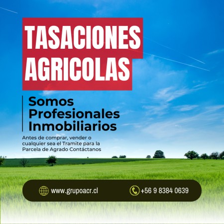 Imagen 4 de servicio